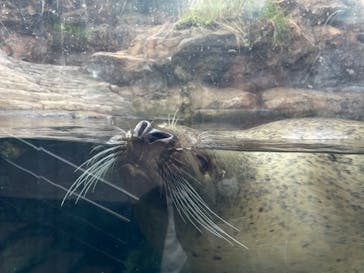 環境水族館アクアマリンふくしまに投稿された画像（2023/10/8）