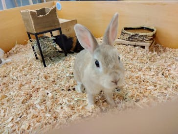 Moff アニマル カフェ イーアス 高尾店に投稿された画像（2023/10/8）