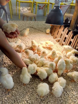 Moff アニマル カフェ イーアス 高尾店に投稿された画像（2023/10/8）