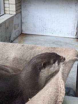 下田海中水族館に投稿された画像（2023/10/8）