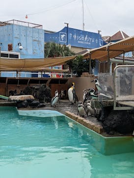 下田海中水族館に投稿された画像（2023/10/8）