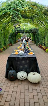 横浜イングリッシュガーデンに投稿された画像（2023/10/8）