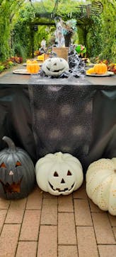 横浜イングリッシュガーデンに投稿された画像（2023/10/8）