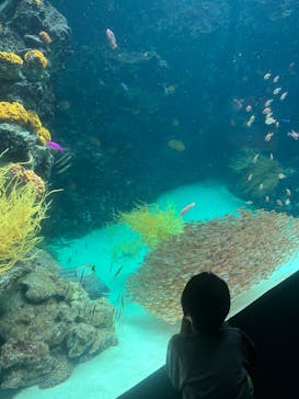 環境水族館アクアマリンふくしまに投稿された画像（2023/10/8）