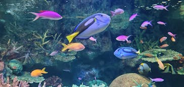 サンシャイン水族館に投稿された画像（2023/10/8）