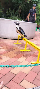 マクセル アクアパーク品川に投稿された画像（2023/10/8）