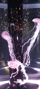 マクセル アクアパーク品川に投稿された画像（2023/10/8）