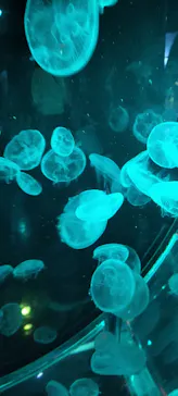 マクセル アクアパーク品川に投稿された画像（2023/10/8）