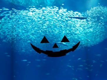 アクアワールド茨城県大洗水族館に投稿された画像（2023/10/8）