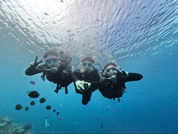 DIVING-SHOP SUNSに投稿された画像（2023/10/8）