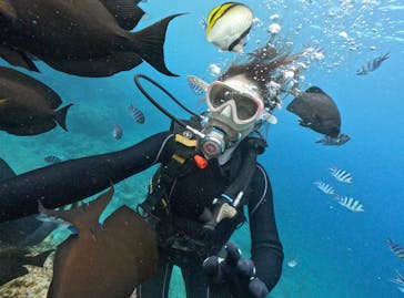 DIVING-SHOP SUNSに投稿された画像（2023/10/8）