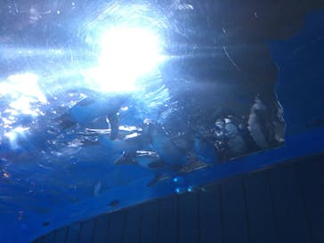 サンシャイン水族館に投稿された画像（2023/10/8）