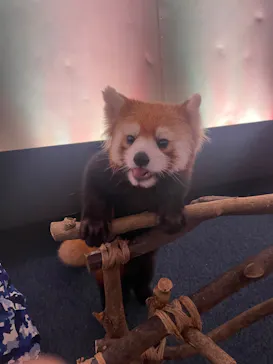 横浜・八景島シーパラダイスに投稿された画像（2023/10/8）