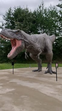 福井県立恐竜博物館に投稿された画像（2023/10/8）