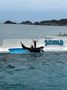 鴨川シーワールドに投稿された画像（2023/10/8）