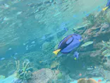 名古屋港水族館に投稿された画像（2023/10/8）