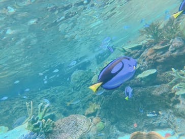 名古屋港水族館に投稿された画像（2023/10/8）