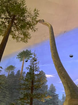 福井県立恐竜博物館に投稿された画像（2023/10/8）