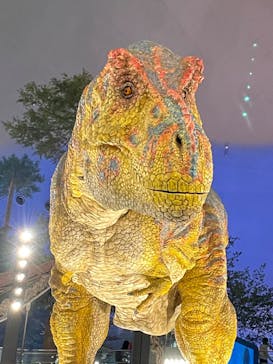 福井県立恐竜博物館に投稿された画像（2023/10/8）