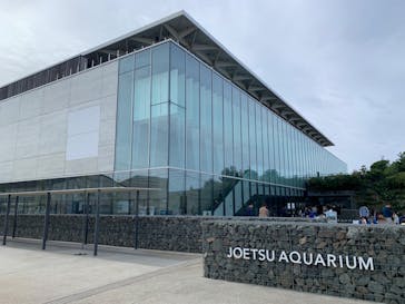上越市立水族博物館 うみがたりに投稿された画像（2023/10/8）