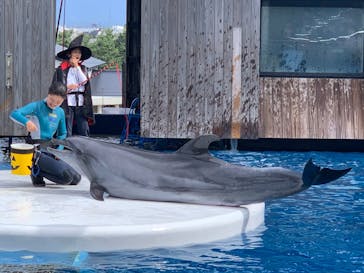 上越市立水族博物館 うみがたりに投稿された画像（2023/10/8）