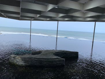 上越市立水族博物館 うみがたりに投稿された画像（2023/10/8）