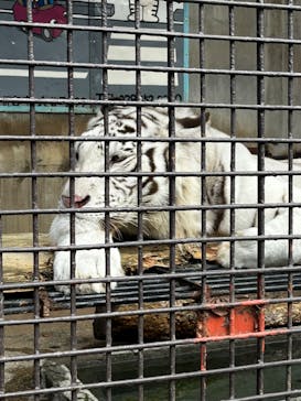 宇都宮動物園に投稿された画像（2023/10/8）