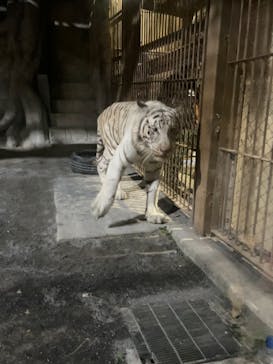 東武動物公園に投稿された画像（2023/10/8）