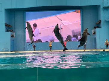 横浜・八景島シーパラダイスに投稿された画像（2023/10/8）