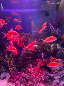 横浜・八景島シーパラダイスに投稿された画像（2023/10/8）