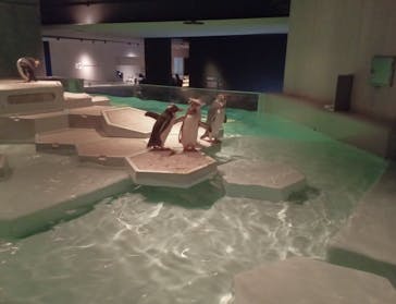 AOAO SAPPOROに投稿された画像（2023/10/8）