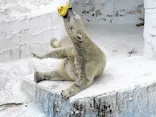 天王寺動物園に投稿された画像（2023/10/8）