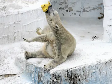 天王寺動物園に投稿された画像（2023/10/8）
