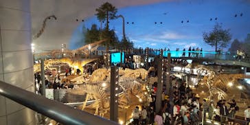 福井県立恐竜博物館に投稿された画像（2023/10/8）