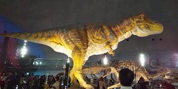 福井県立恐竜博物館に投稿された画像（2023/10/8）