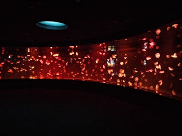 サンシャイン水族館に投稿された画像（2023/10/8）