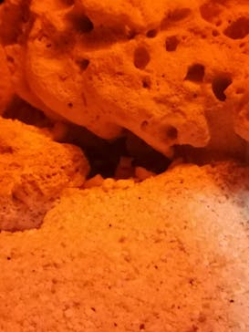 サンシャイン水族館に投稿された画像（2023/10/8）