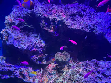 マクセル アクアパーク品川に投稿された画像（2023/10/8）