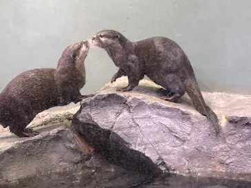 マクセル アクアパーク品川に投稿された画像（2023/10/8）