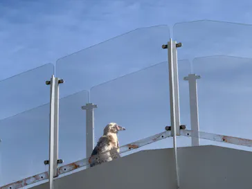 仙台うみの杜水族館に投稿された画像（2023/10/8）