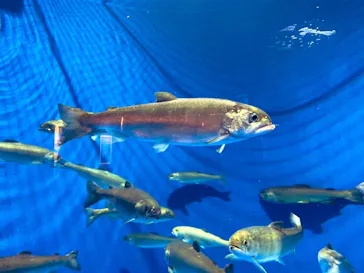 仙台うみの杜水族館に投稿された画像（2023/10/8）