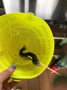 NESTA RESORT KOBE（ネスタリゾート神戸）に投稿された画像（2023/10/8）