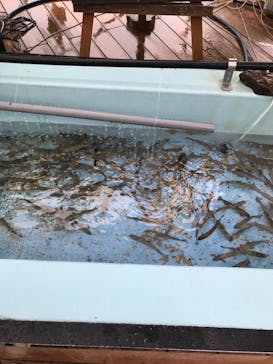 NESTA RESORT KOBE（ネスタリゾート神戸）に投稿された画像（2023/10/8）