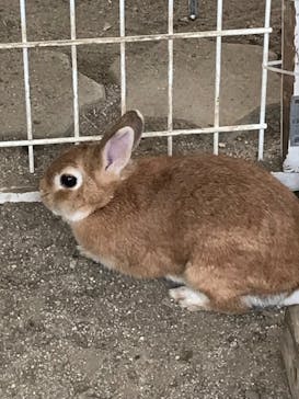 NESTA RESORT KOBE（ネスタリゾート神戸）に投稿された画像（2023/10/8）