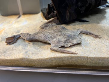 AOAO SAPPOROに投稿された画像（2023/10/8）