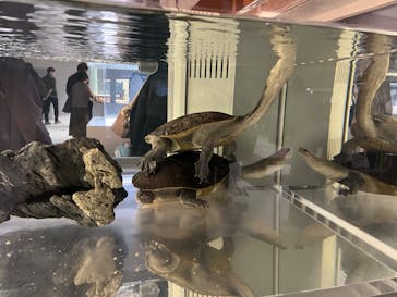 AOAO SAPPOROに投稿された画像（2023/10/8）