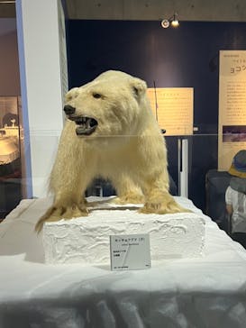 特別展「海　―生命のみなもと―」（国立科学博物館）に投稿された画像（2023/10/8）