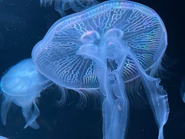 AOAO SAPPOROに投稿された画像（2023/10/8）