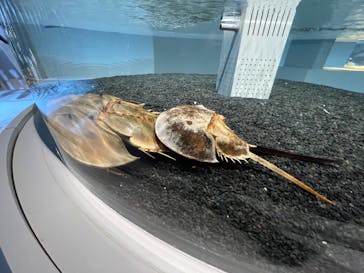 AOAO SAPPOROに投稿された画像（2023/10/8）