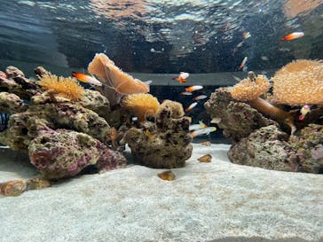 AOAO SAPPOROに投稿された画像（2023/10/8）